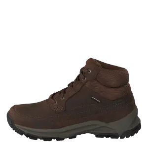 Anvik 2 Mid Wtpf Earth